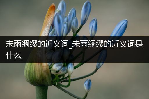 未雨绸缪的近义词_未雨绸缪的近义词是什么