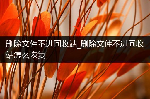 删除文件不进回收站_删除文件不进回收站怎么恢复