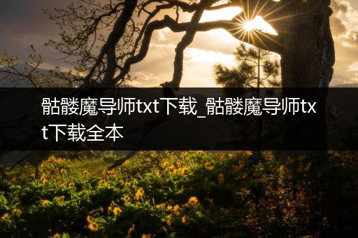 骷髅魔导师txt下载_骷髅魔导师txt下载全本