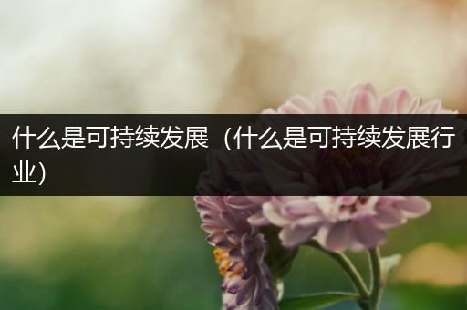 什么是可持续发展(什么是可持续发展行业)