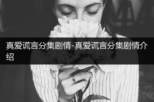 真爱谎言分集剧情-真爱谎言分集剧情介绍