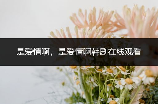 是爱情啊,是爱情啊韩剧在线观看