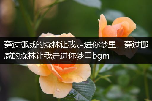 穿过挪威的森林让我走进你梦里,穿过挪威的森林让我走进你梦里bgm