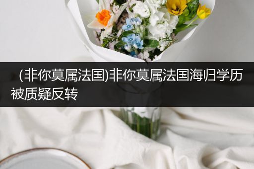 (非你莫属法国)非你莫属法国海归学历被质疑反转