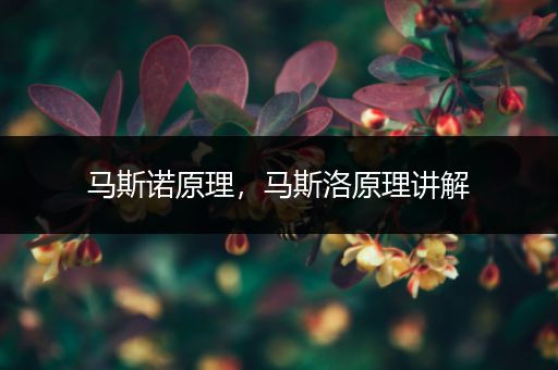 马斯诺原理,马斯洛原理讲解