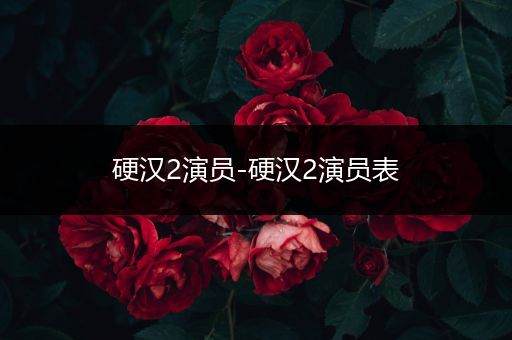 硬汉2演员-硬汉2演员表