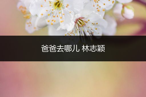 爸爸去哪儿 林志颖