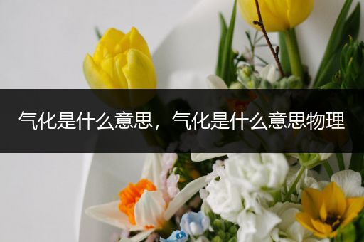 气化是什么意思,气化是什么意思物理