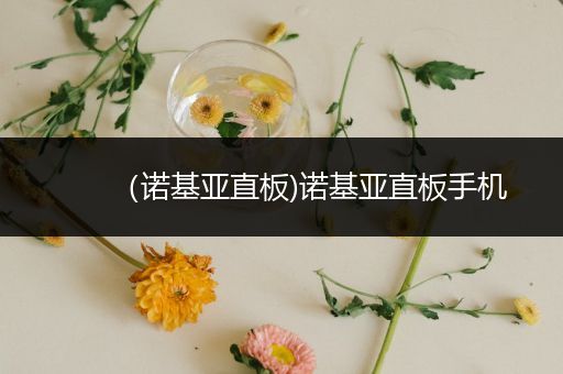 (诺基亚直板)诺基亚直板手机