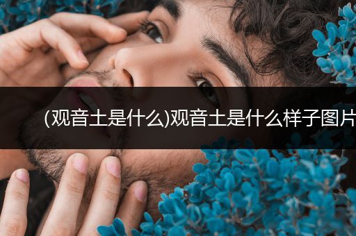 (观音土是什么)观音土是什么样子图片