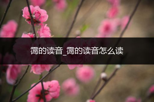 霭的读音_霭的读音怎么读