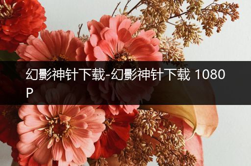 幻影神针下载-幻影神针下载 1080P