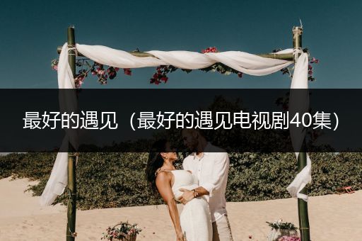 最好的遇见(最好的遇见电视剧40集)