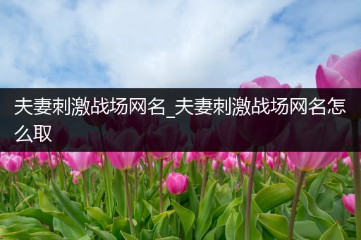 夫妻刺激战场网名_夫妻刺激战场网名怎么取