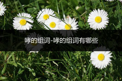 哮的组词-哮的组词有哪些