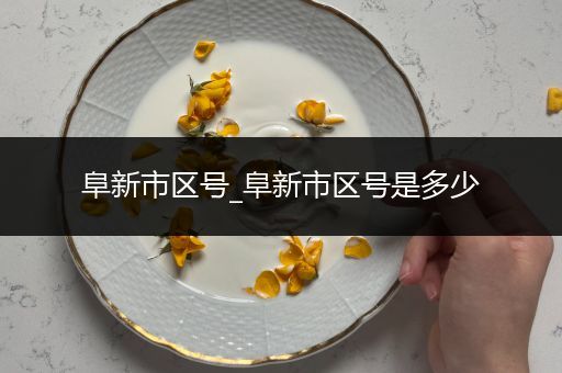 阜新市区号_阜新市区号是多少