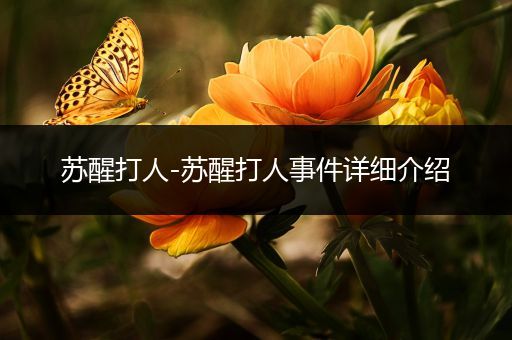 苏醒打人-苏醒打人事件详细介绍