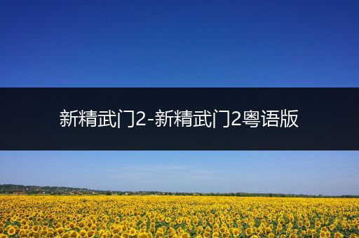 新精武门2-新精武门2粤语版