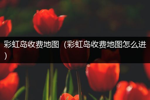 彩虹岛收费地图(彩虹岛收费地图怎么进)