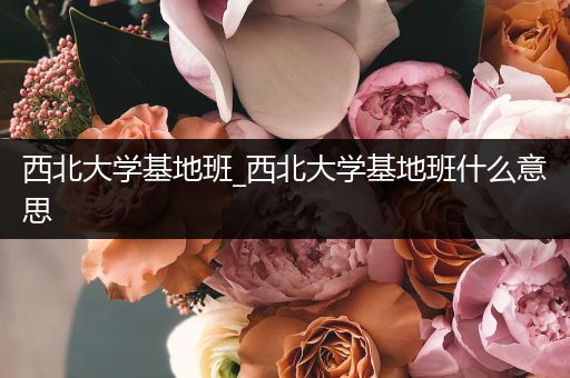 西北大学基地班_西北大学基地班什么意思