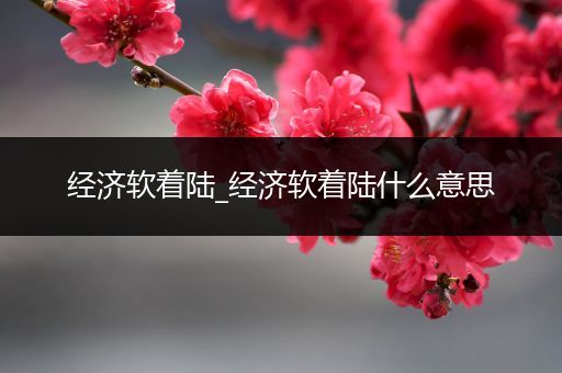 经济软着陆_经济软着陆什么意思