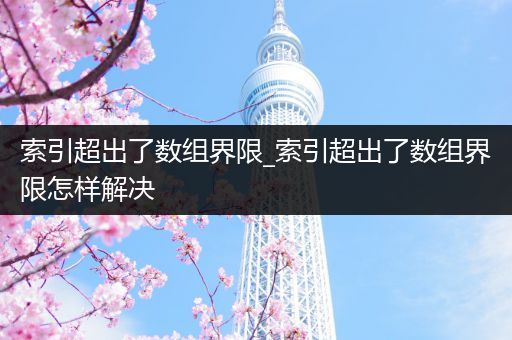 索引超出了数组界限_索引超出了数组界限怎样解决