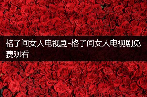 格子间女人电视剧-格子间女人电视剧免费观看