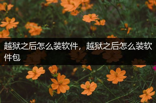 越狱之后怎么装软件,越狱之后怎么装软件包