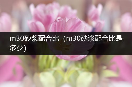 m30砂浆配合比(m30砂浆配合比是多少)