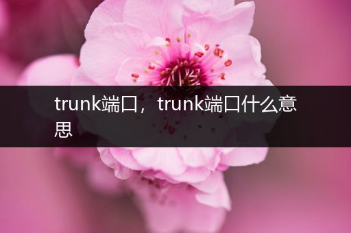 trunk端口,trunk端口什么意思