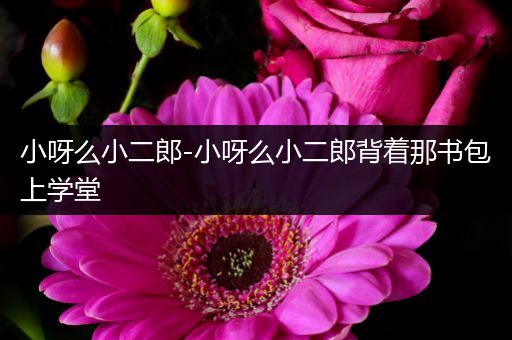 小呀么小二郎-小呀么小二郎背着那书包上学堂