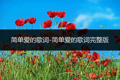 简单爱的歌词-简单爱的歌词完整版