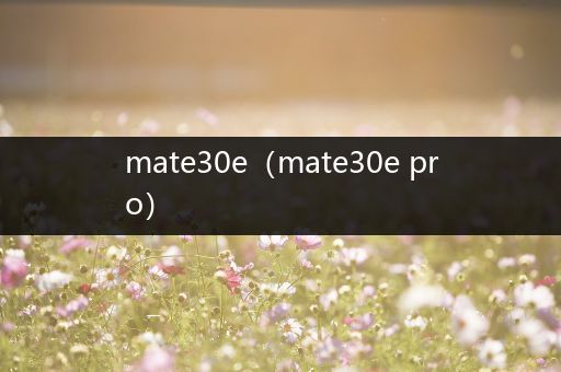 mate30e(mate30e pro)