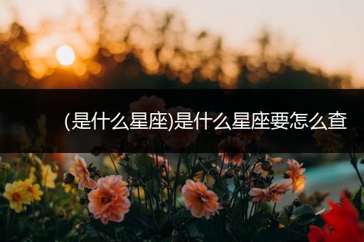 (是什么星座)是什么星座要怎么查
