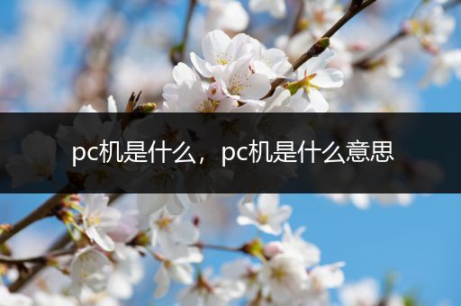 pc机是什么,pc机是什么意思