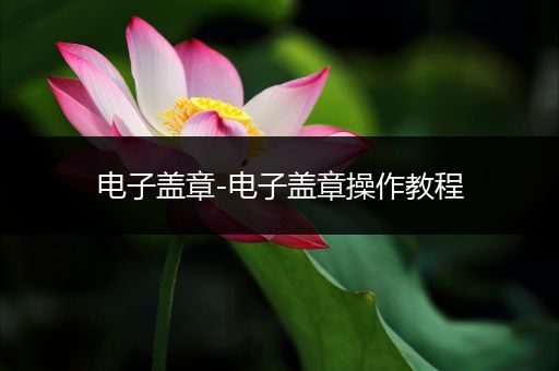 电子盖章-电子盖章操作教程