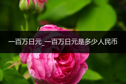 一百万日元_一百万日元是多少人民币