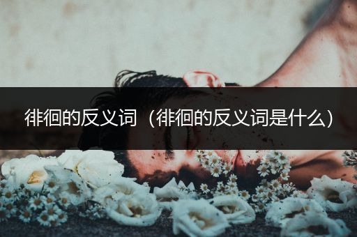 徘徊的反义词(徘徊的反义词是什么)