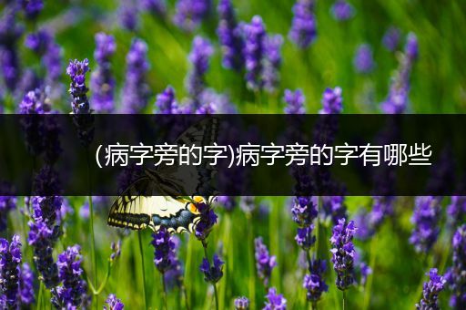 (病字旁的字)病字旁的字有哪些