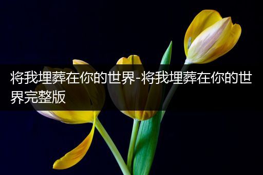 将我埋葬在你的世界-将我埋葬在你的世界完整版