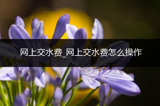 网上交水费_网上交水费怎么操作