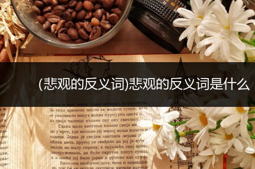 (悲观的反义词)悲观的反义词是什么