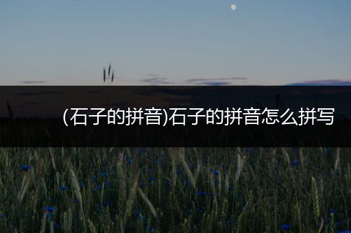 (石子的拼音)石子的拼音怎么拼写