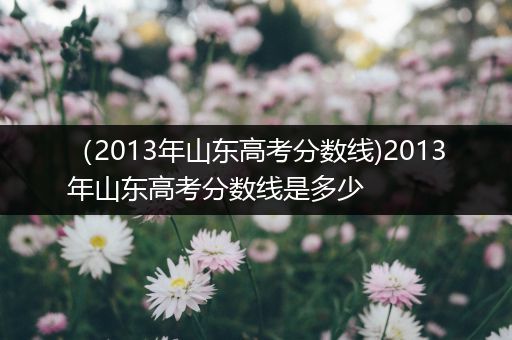 (2013年山东高考分数线)2013年山东高考分数线是多少