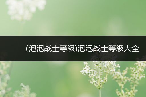 (泡泡战士等级)泡泡战士等级大全