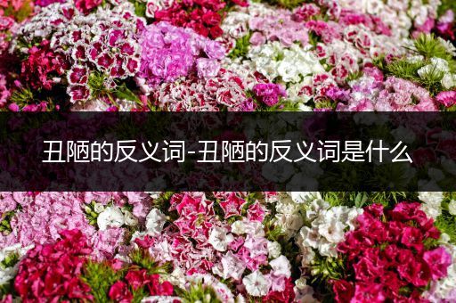 丑陋的反义词-丑陋的反义词是什么