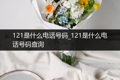 121是什么电话号码_121是什么电话号码查询
