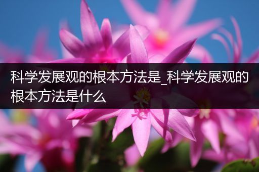 科学发展观的根本方法是_科学发展观的根本方法是什么
