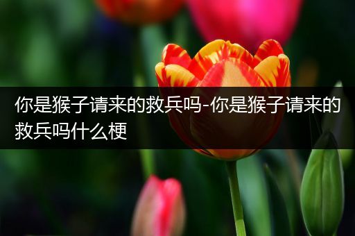 你是猴子请来的救兵吗-你是猴子请来的救兵吗什么梗