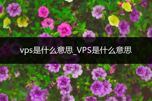 vps是什么意思_VPS是什么意思